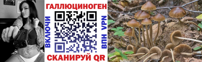 Купить  Городовиковск  Псилоцибиновые грибы Psilocybine cubensis 