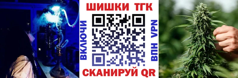 Каннабис сатива  Купить где  Городовиковск 